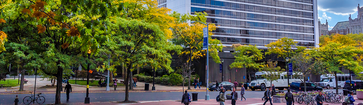 ccny-math-placement-test-the-city-college-of-new-york